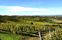 ImprendiNews – Unesco, vista di colline tipiche di Langhe, Roero e Monferrato