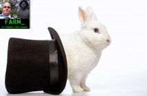 ImprendiNews – Magia, un coniglio esce da un cappello a cilindro